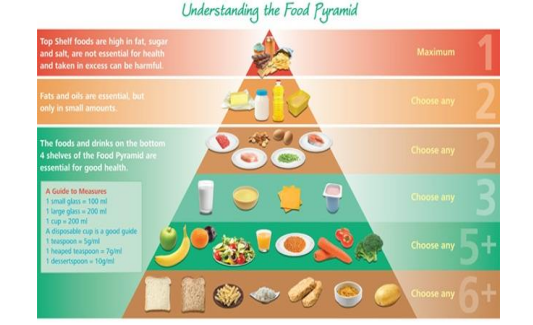 ‘Understanding the food pyramid’ (Safe Food, n. d.). 